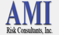 AMIRISK - Logo